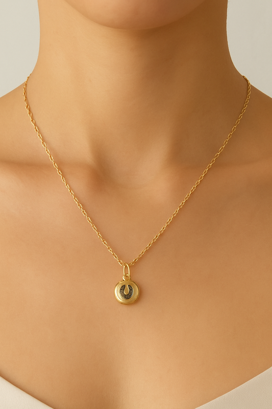 Pave Horse Shoe Necklace